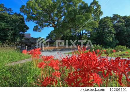 秋天修道院 12206591