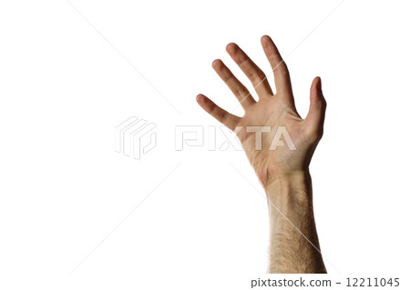 Man`s open hand isolated on a white background 12211045