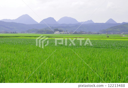 美國城市 美國城市 12213488