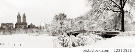 Central Park winter 12213538