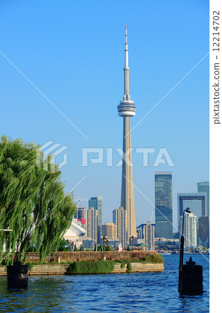 Toronto skyline from park 12214702