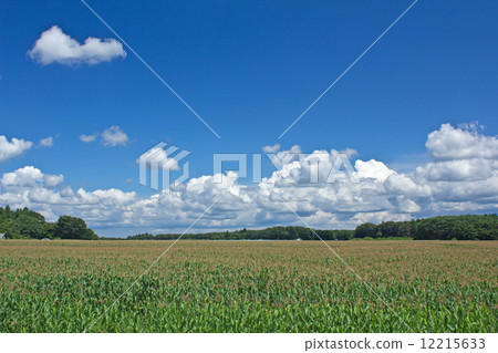 Blue sky and white cloud 1 12215633