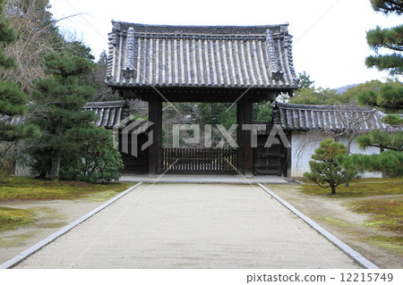 Kodaiin Kodaiin 12215749