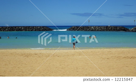 夏威夷阿拉莫阿納海灘 12215847