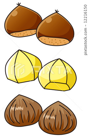 Chestnut  12216150