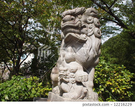 守護獅子犬在神社 12216229