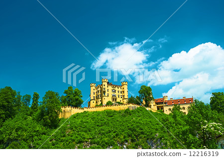 The castle of Hohenschwangau in Germany 12216319