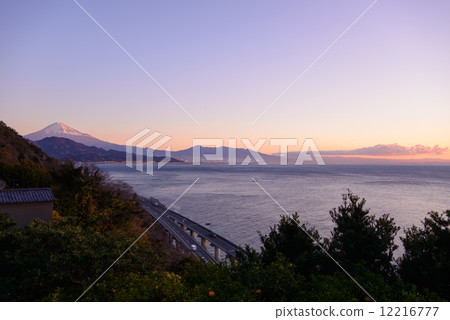 Dawn of Shizuoka Satsuki Pass Dawn of Shizuoka Satsuki Pass 12216777