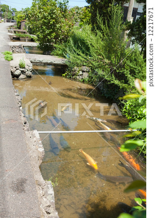 Townscape of Hagi 12217671