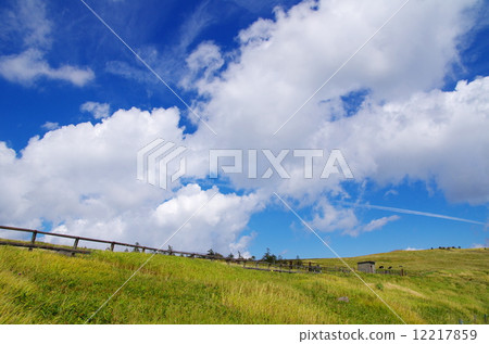 Plateau Plateau 12217859