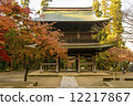 Autumn tenure Enka Temple Kamakura 12217867