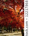 Autumn leaves Kanagawa 12217868