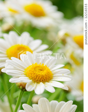 naure power naure power 12218333
