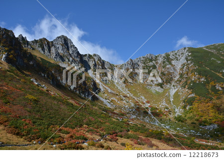 Senjakikikaru 12218673