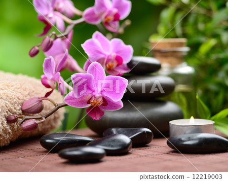 spa concept 12219003