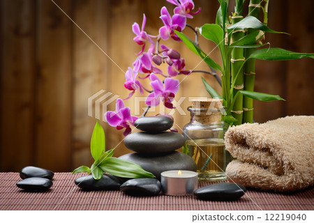spa concept 12219040