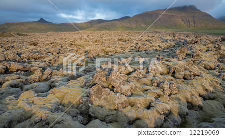 Never-ending Lava fields in Iceland with mountains Never-ending Lava fields in Iceland with mountains 12219069