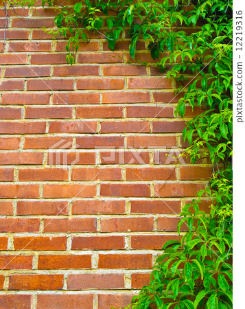 Brick wall background Brick wall background 12219316