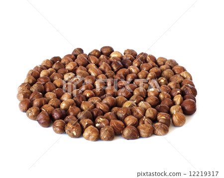 Hazelnut 12219317