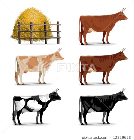 Vector Cow Icons 12219638