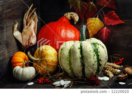 Autumn composition Autumn composition 12220020