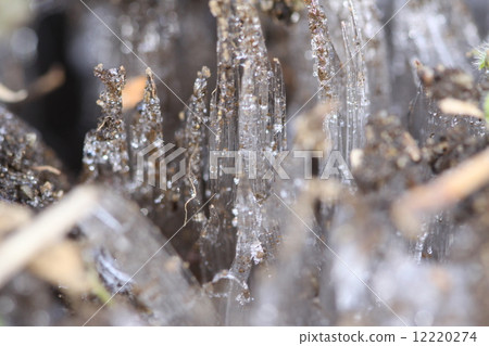 Icicle Icicle 12220274