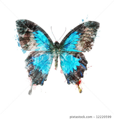 Watercolor Image Of Tropical Butterfly 12220599