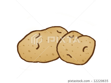 potato potato 12220635