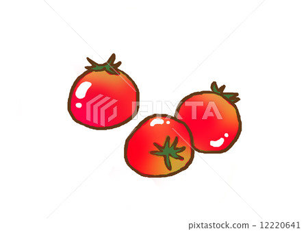 Mini Tomato Mini Tomato 12220641