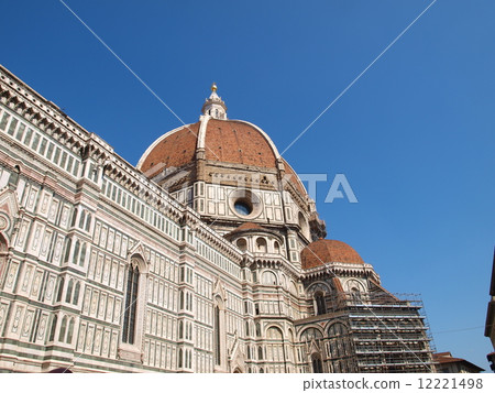 Florence Florence 12221498