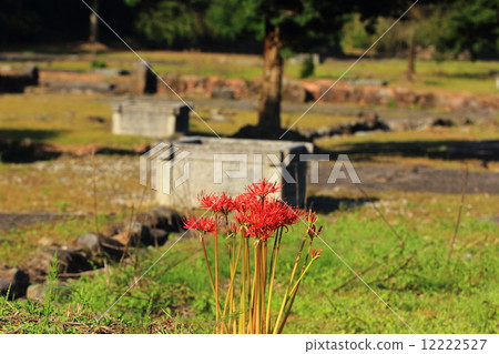 Asakura remains in autumn 12222527