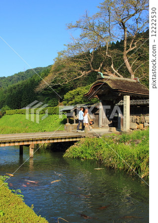 Asakura remains in autumn 12222530