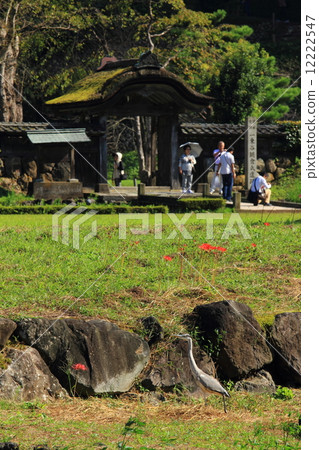 Asakura remains in autumn 12222547