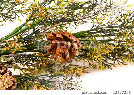 Christmas tree branch Christmas tree branch 12227268