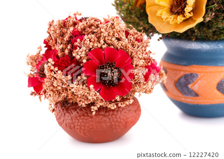 Flowers in vases 12227420