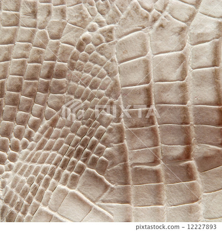 Crocodile skin texture 12227893