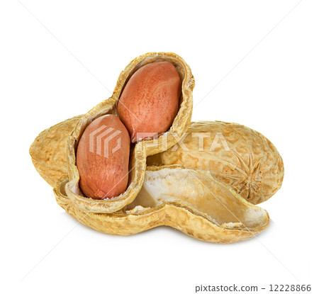 peanuts isolated on white background peanuts isolated on white background 12228866
