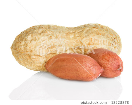 peanuts isolated on white background peanuts isolated on white background 12228878