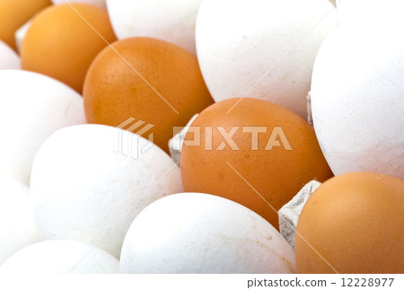 Eggs 12228977