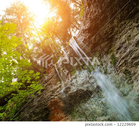 Waterfall in a forest in Slovak Paradise, Slovakia 12229609