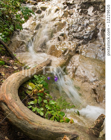 Waterfall in a forest in Slovak Paradise, Slovakia Waterfall in a forest in Slovak Paradise, Slovakia 12229616