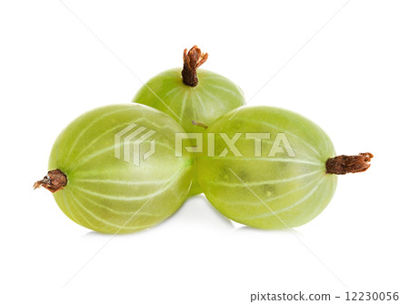 gooseberries isolated on a white background 12230056