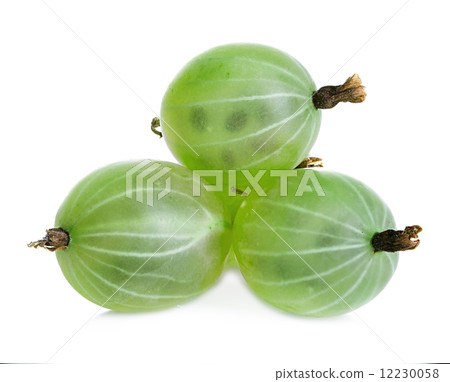 gooseberries isolated on a white background 12230058