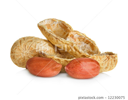 peanuts isolated on white background peanuts isolated on white background 12230075