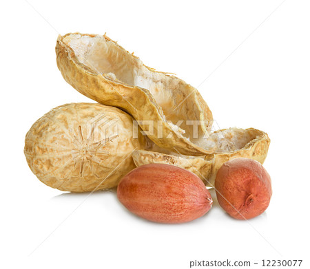 peanuts isolated on white background 12230077