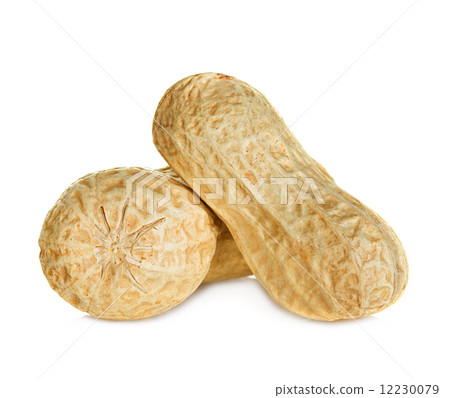 peanuts isolated on white background 12230079