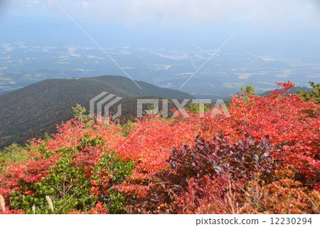 Adatarayama秋葉 12230294