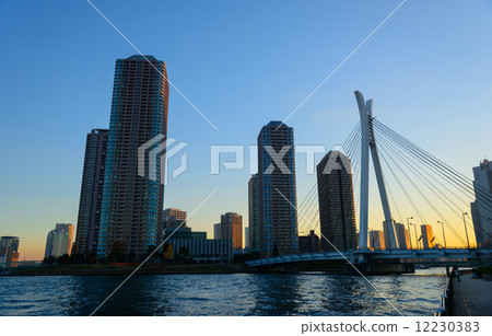 在東京黃昏的Okawabata河市21晚上風景 12230383