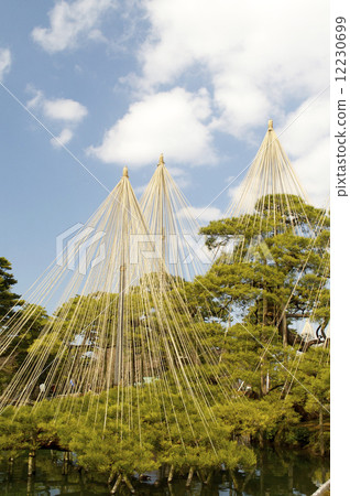 Kenrokuen Snow Hanging 12230699