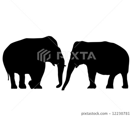 Elephants in love 12230781